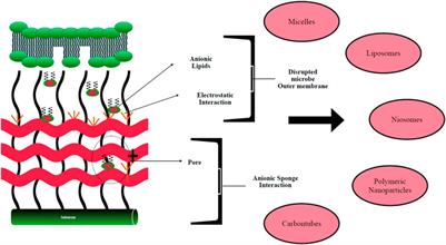 Editorial: Advances in self-assembled nanocarriers for drug delivery